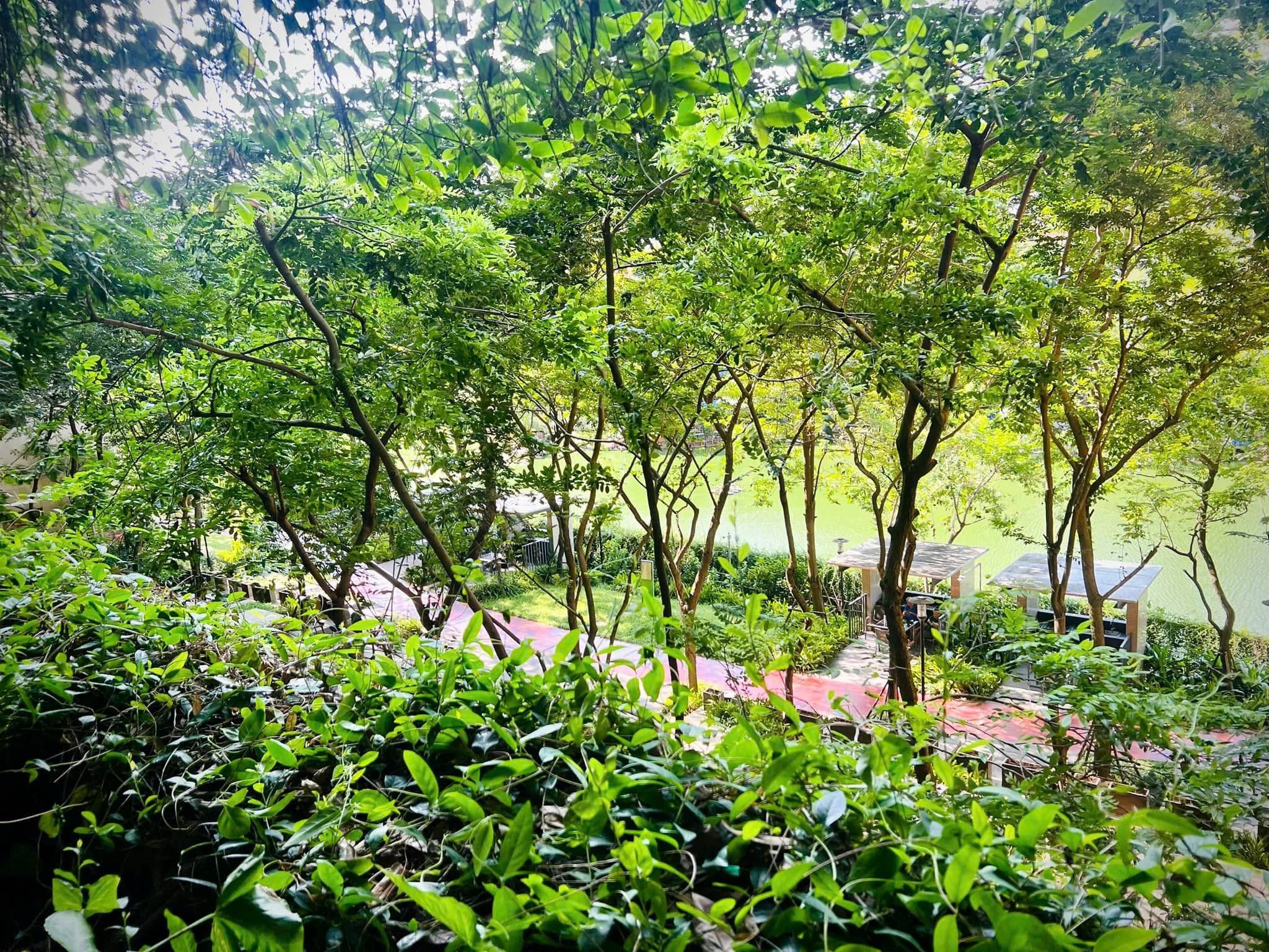 Bán căn hộ 2n2wc dt 89m2 tại chung cư Mulberry Lane, full đồ, giá 6.8 tỷ 6