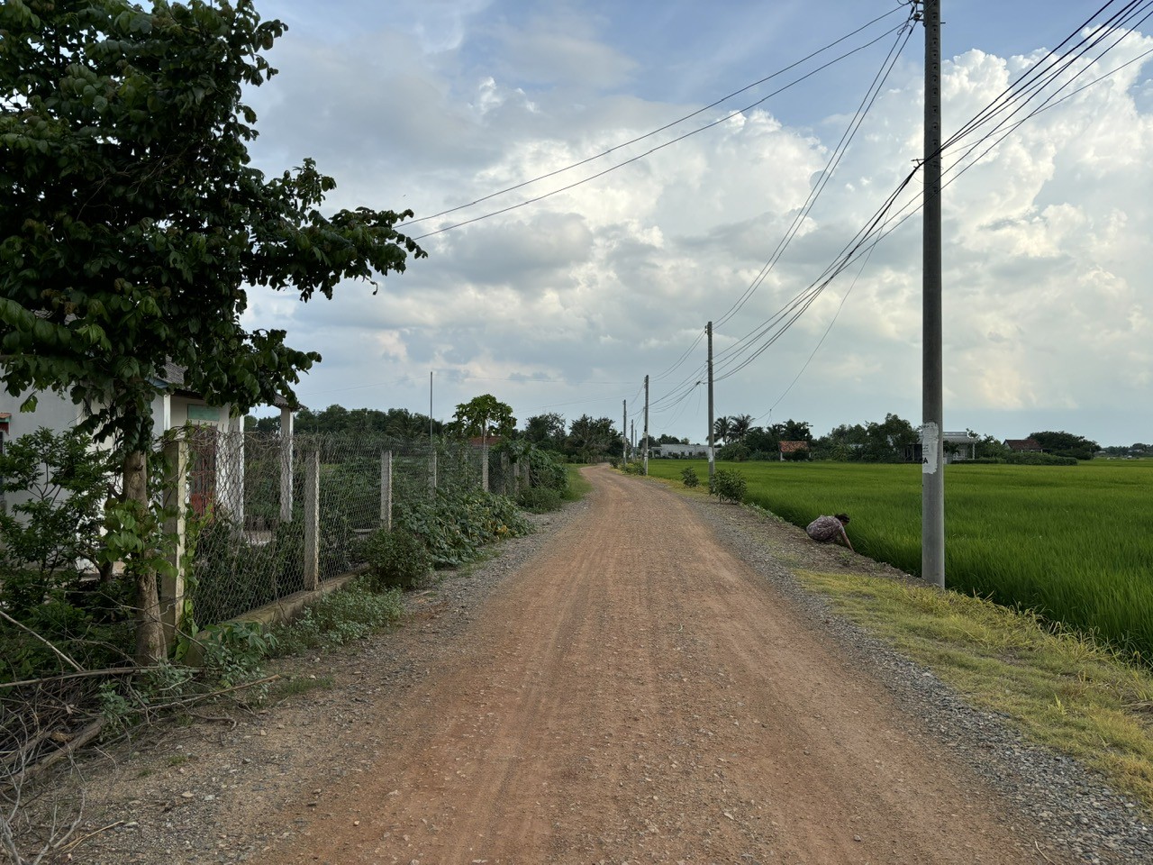 Cần bán Đất Xã Long Hựu Tây, Cần Đước, Diện tích 1000m², Giá Thương lượng 2