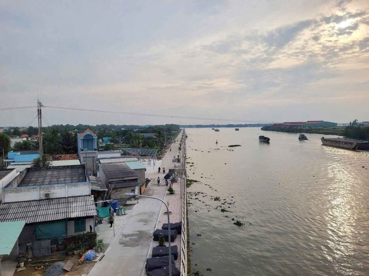 Đất lúa Óc Đảo xã Long Hựu 1000m2 giá rẻ đầu tư 420tr