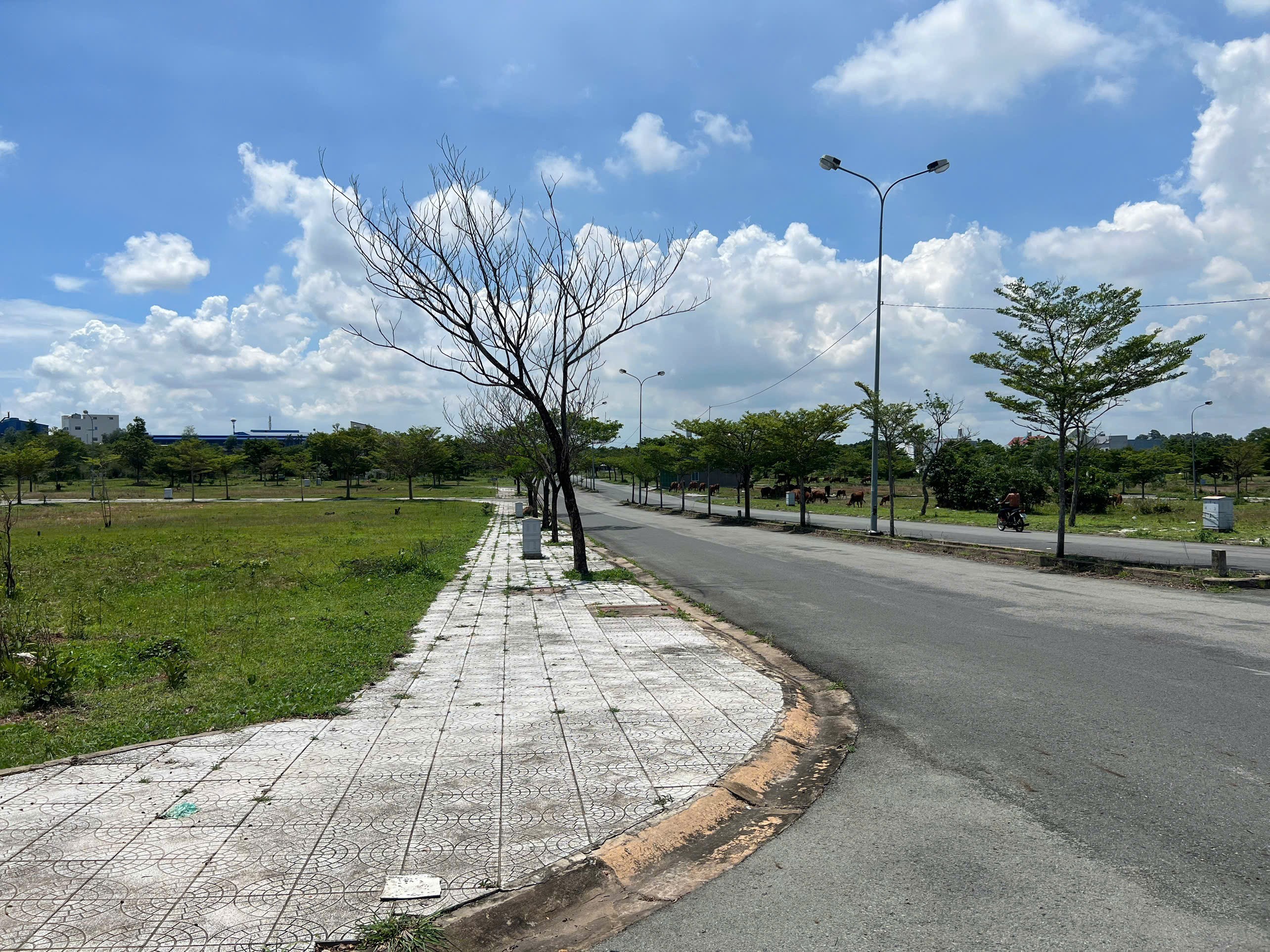 ĐẦU TƯ NGAY TRUNG TÂM THÀNH PHỐ SÂN BAY!!! CHỈ 850TR CÓ NGAY MẶT TIỀN ĐƯỜNG LỚN_SỔ SẴN!!! 4