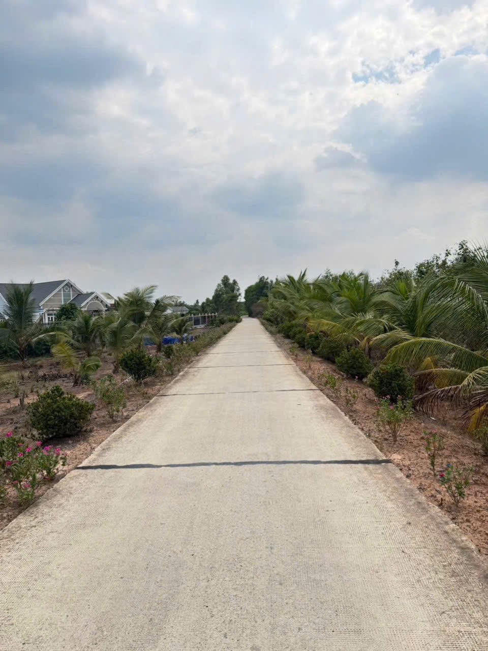 Bán đất vườn có rào sẵn, đường oto đá xanh xã Thạnh Hòa dt 1000m2 giá 870 triệu