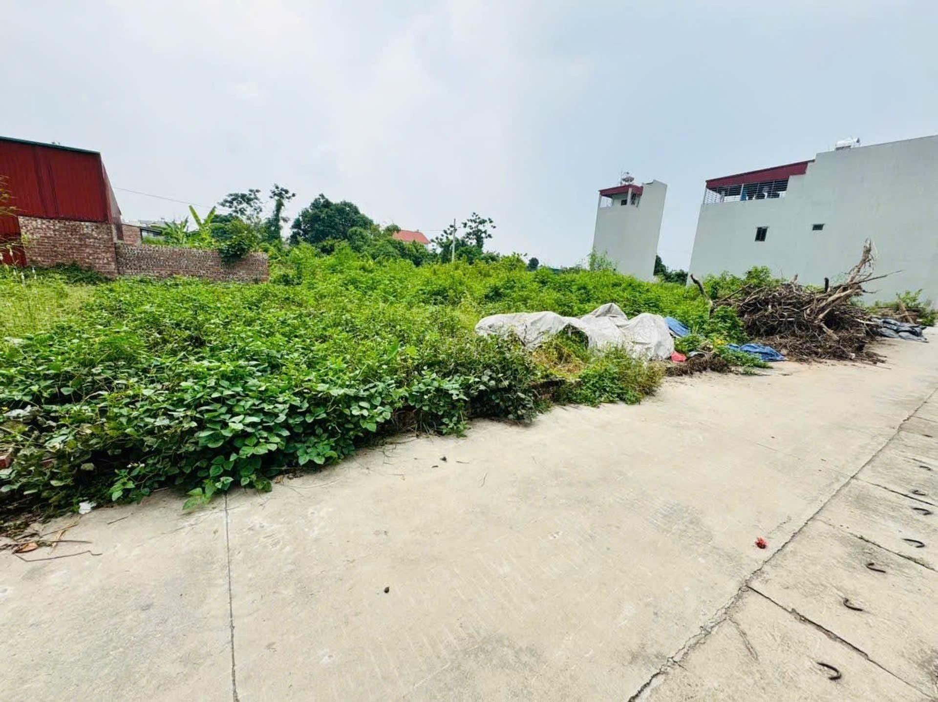 Cần bán Đất Thị trấn Quang Minh, Mê Linh, Diện tích 60m², Giá 60 Triệu/m² 3