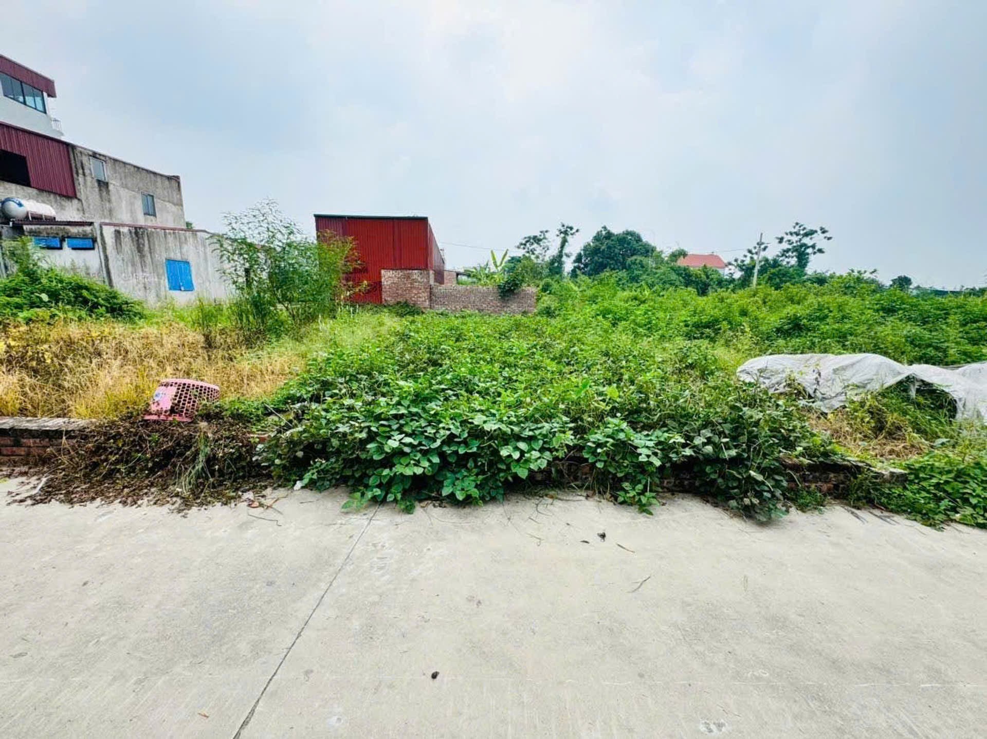 Cần bán Đất Thị trấn Quang Minh, Mê Linh, Diện tích 60m², Giá 60 Triệu/m² 4