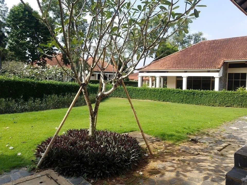 Cho thuê Biệt thự Quận 9, Hồ Chí Minh, Diện tích 625m², Giá 070 Triệu/tháng 8