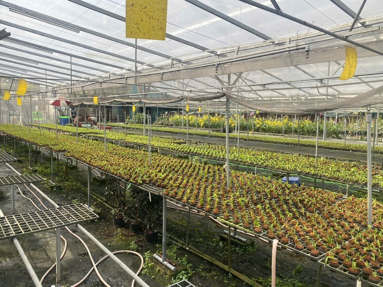 Cho thuê Đất Phường Phú Hữu, Quận 9, Diện tích 200m², Giá Thương lượng 9