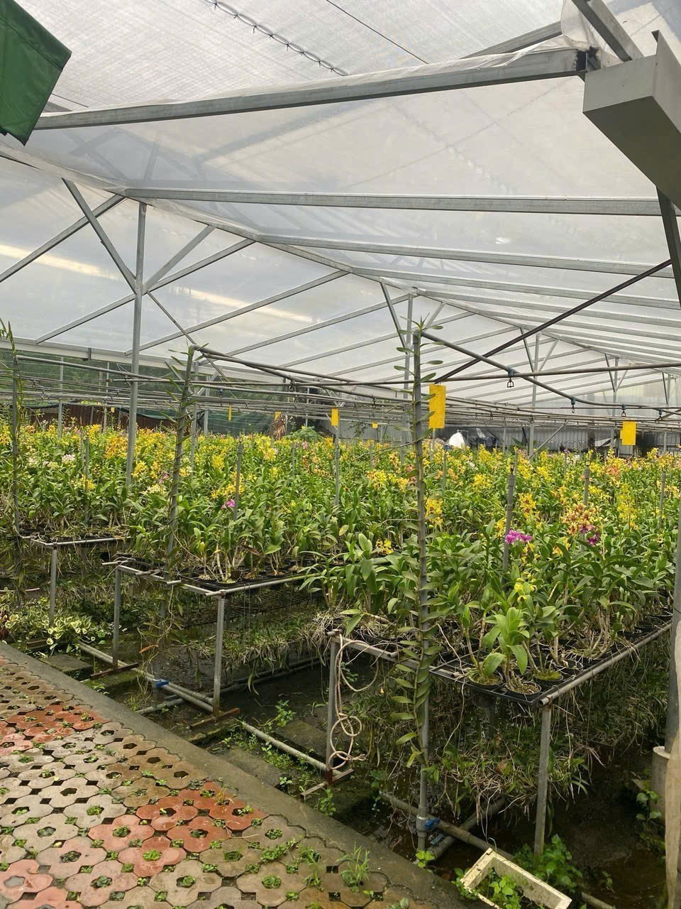 Cho thuê Đất Phường Phú Hữu, Quận 9, Diện tích 200m², Giá Thương lượng 10