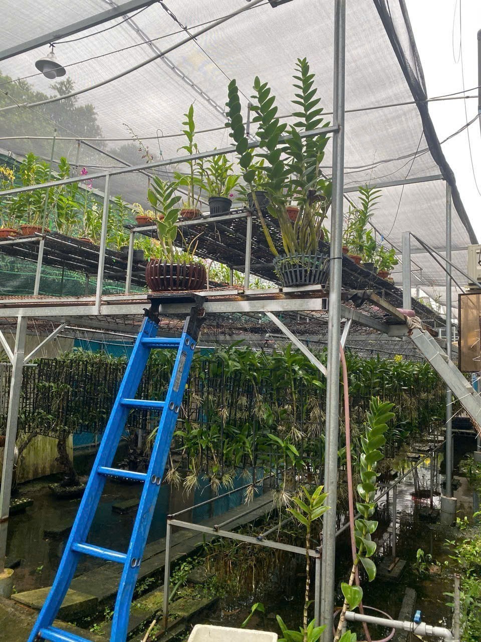 Cho thuê Đất Phường Phú Hữu, Quận 9, Diện tích 200m², Giá Thương lượng 13