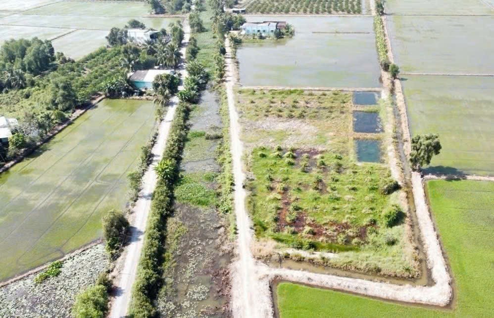 Bán đất mặt tiền kênh xã Tân Thành, Thủ Thừa dt 1000m2 (290m2 thổ) đường đá xanh oto giá 1,15 tỷ