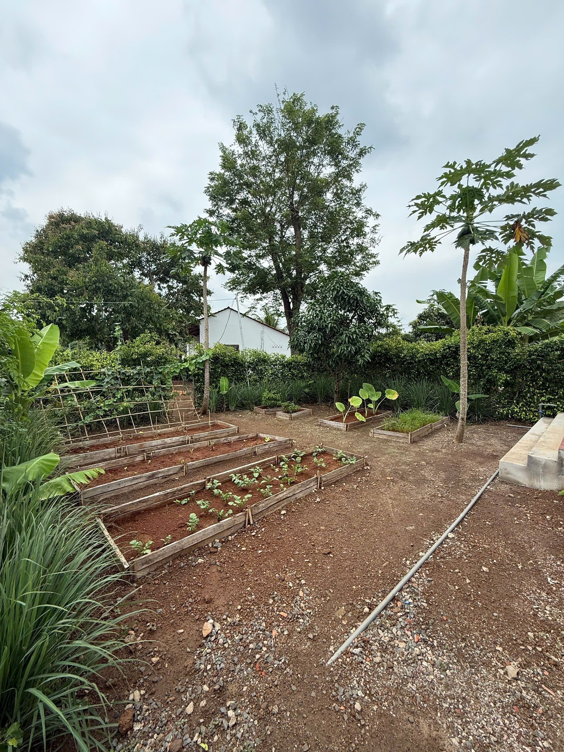 GREENERY HOUSE BÀ RỊA – CƠ HỘI SỞ HỮU NHÀ VƯỜN NGHỈ DƯỠNG CHỈ TỪ 3 TỶ ĐỒNG/LÔ 5