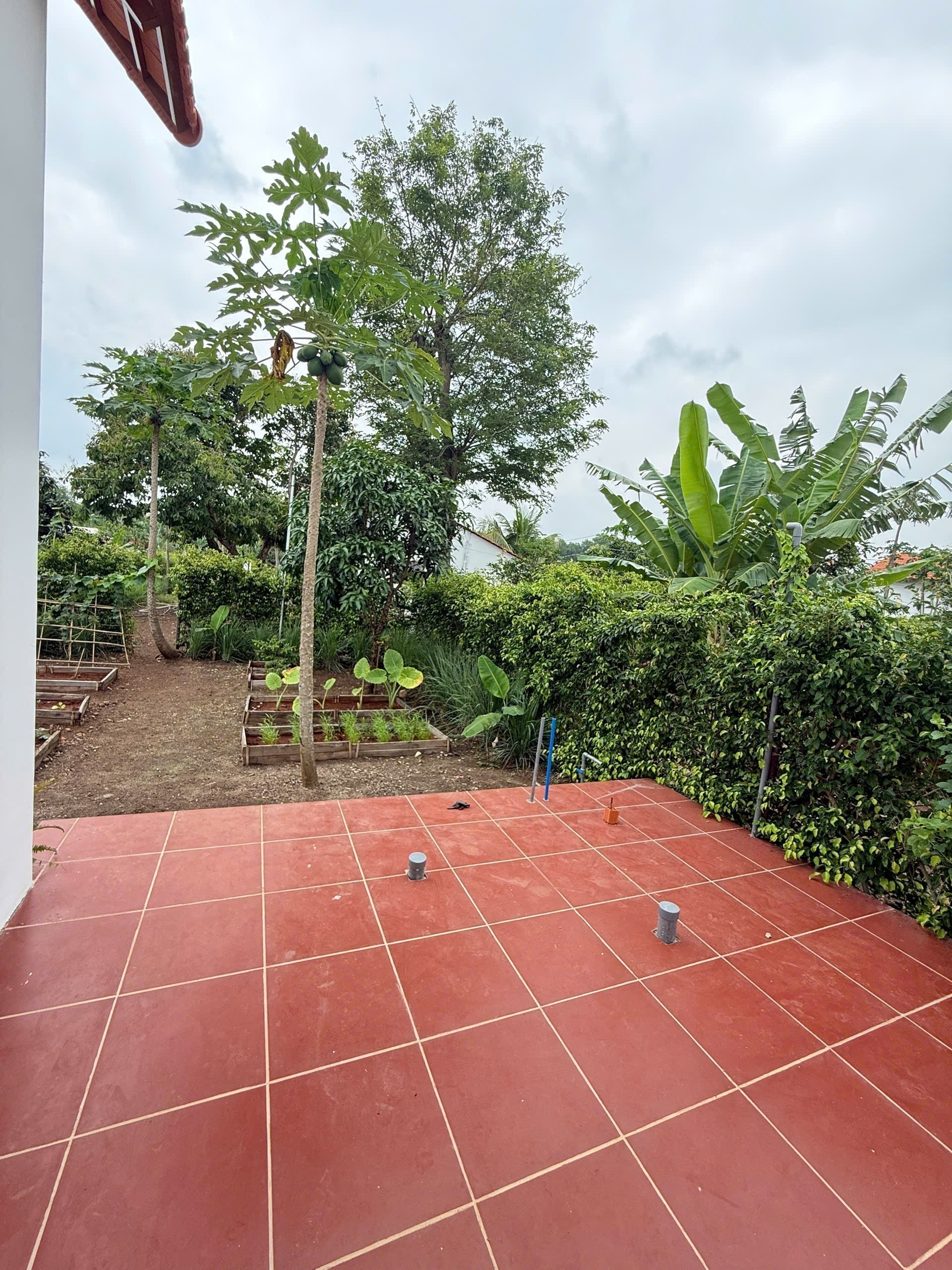 GREENERY HOUSE BÀ RỊA – CƠ HỘI SỞ HỮU NHÀ VƯỜN NGHỈ DƯỠNG CHỈ TỪ 3 TỶ ĐỒNG/LÔ