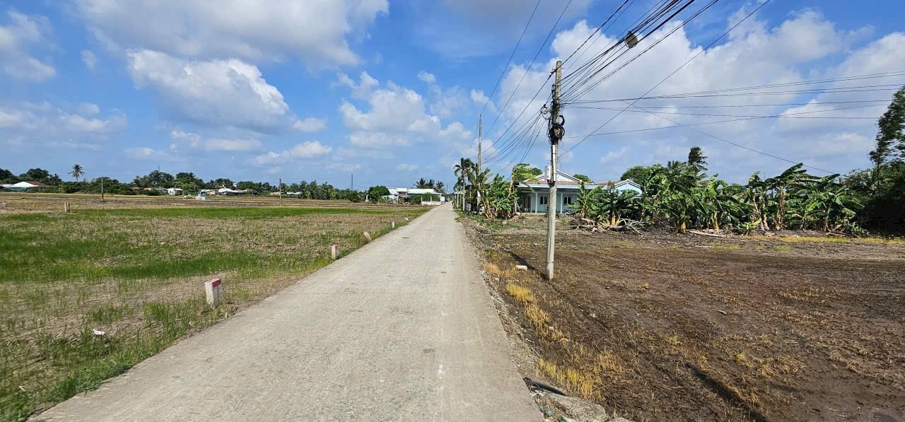Bán 5 lô thổ cư liền kề đường beton oto xã Lạc Tấn, Tân Trụ dt 145m2 giá 490 triệu / lô