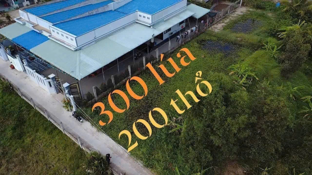Bán đất 2 mặt tiền hẻm beton oto xã Phước Lợi, Bến Lức dt 500m2 (200m2 thổ) giá 1,9 tỷ