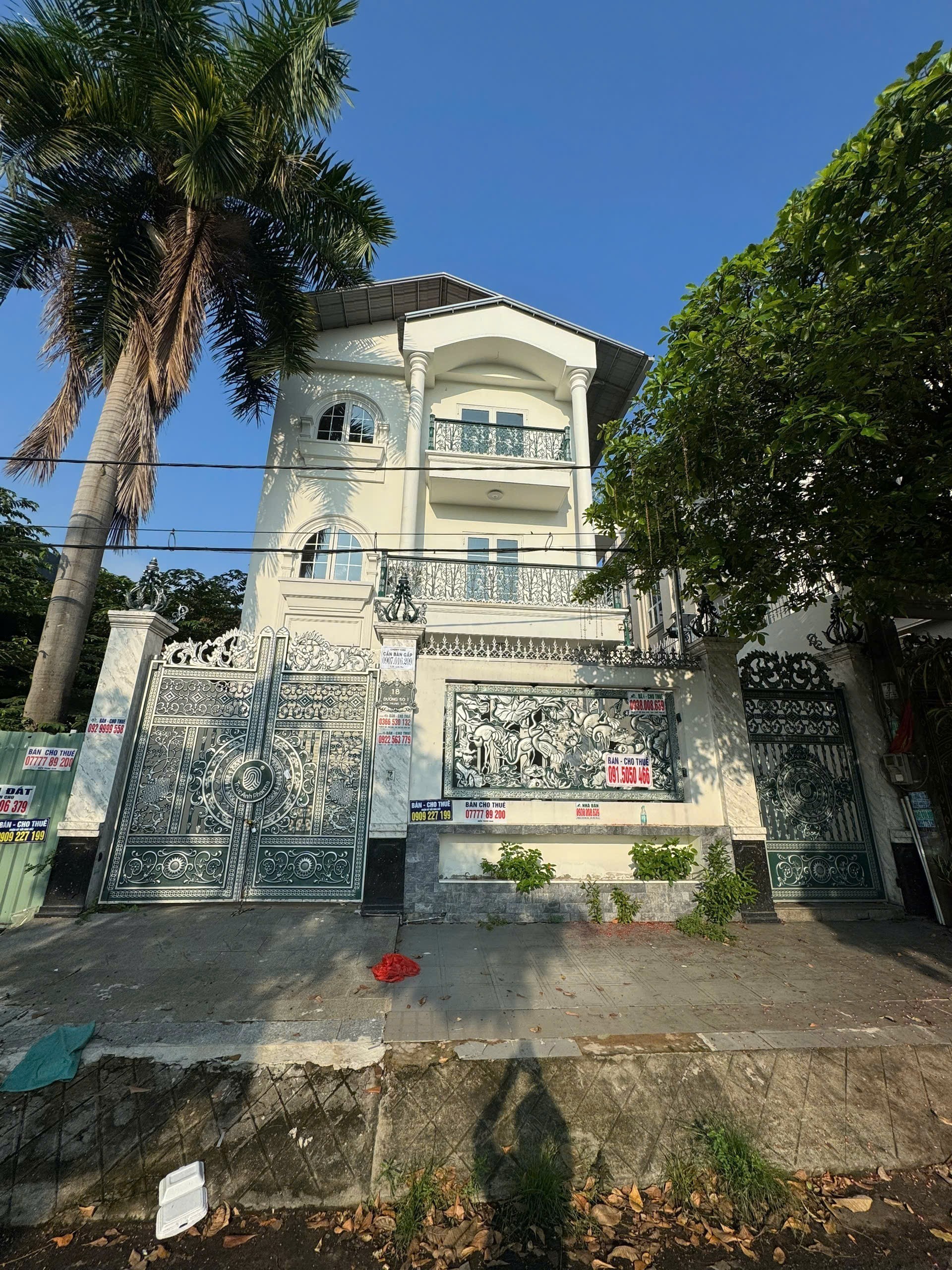 Cần bán Biệt thự Bình Chánh, Hồ Chí Minh, Diện tích 200m², Giá 60 Tỷ 2