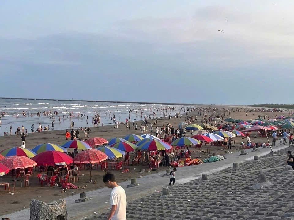 Cần bán Đất Xã Hải Xuân, Hải Hậu, Diện tích 100m², Giá 900 Triệu 4