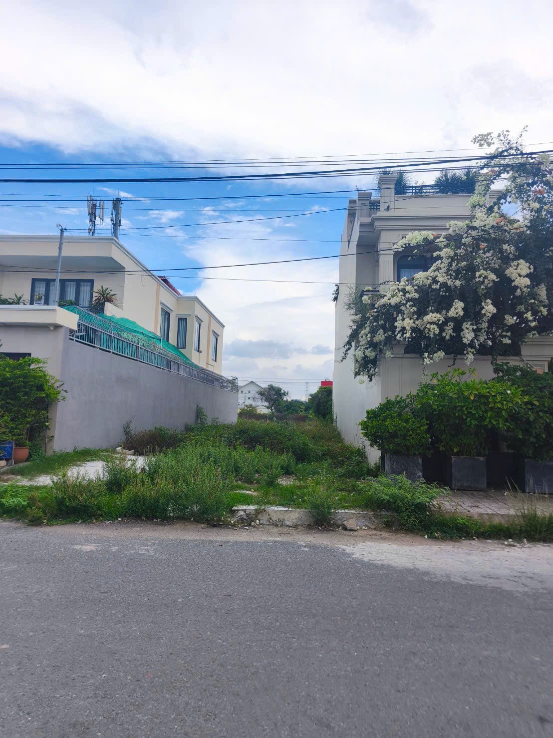 Cần bán Đất Phường Phú Hữu, Quận 9, Diện tích 182m², Giá 013.5 Tỷ 3
