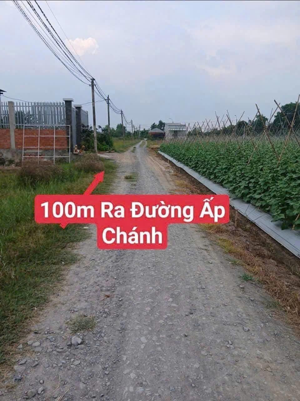 Bán đất / Ấp Chánh , thị trấn Hậu Nghĩa dt 232m2 full thổ đường oto đá xanh giá chốt 1,25 tỷ 2