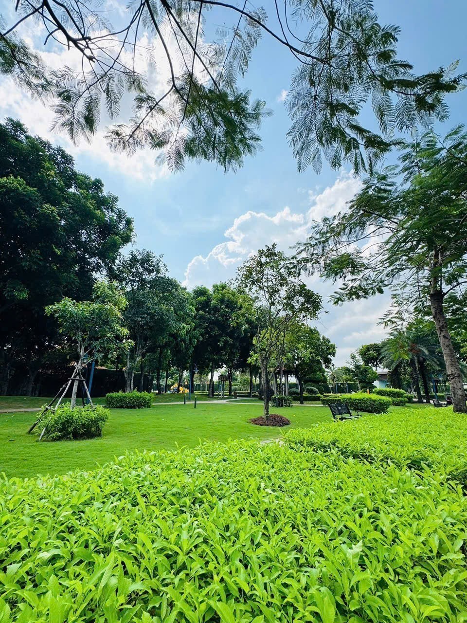 Cần bán Nhà mặt tiền Phường Phú Hữu, Quận 9, Diện tích 102m², Giá 18.5 Tỷ