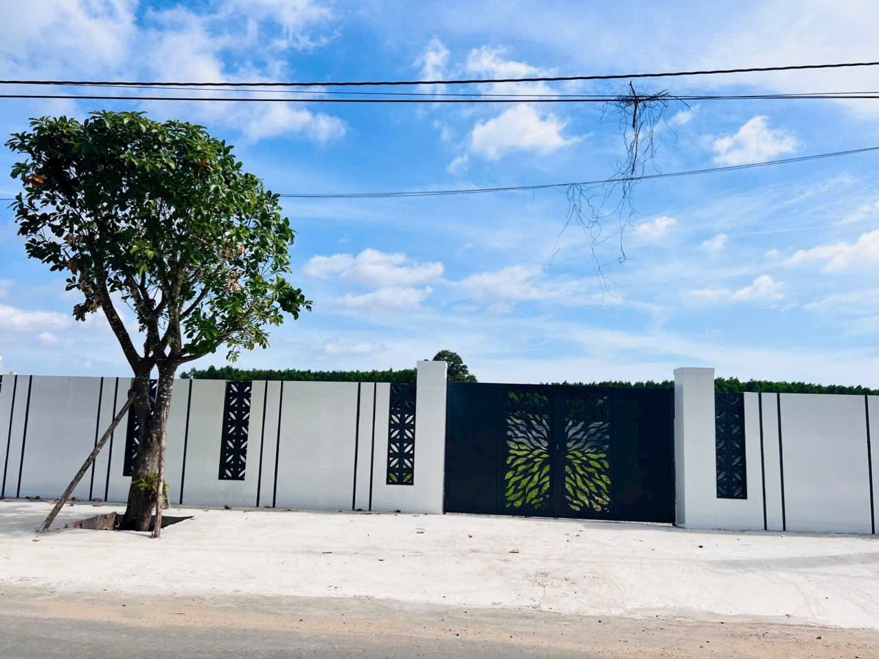 CHỦ VỪA GỬI BÁN LÔ 1tỷ550 NẰM NGAY ĐƯỜNG NHÁNH NGUYỄN HUỆ XÃ ĐẤT ĐỎ - TP HCM 6
