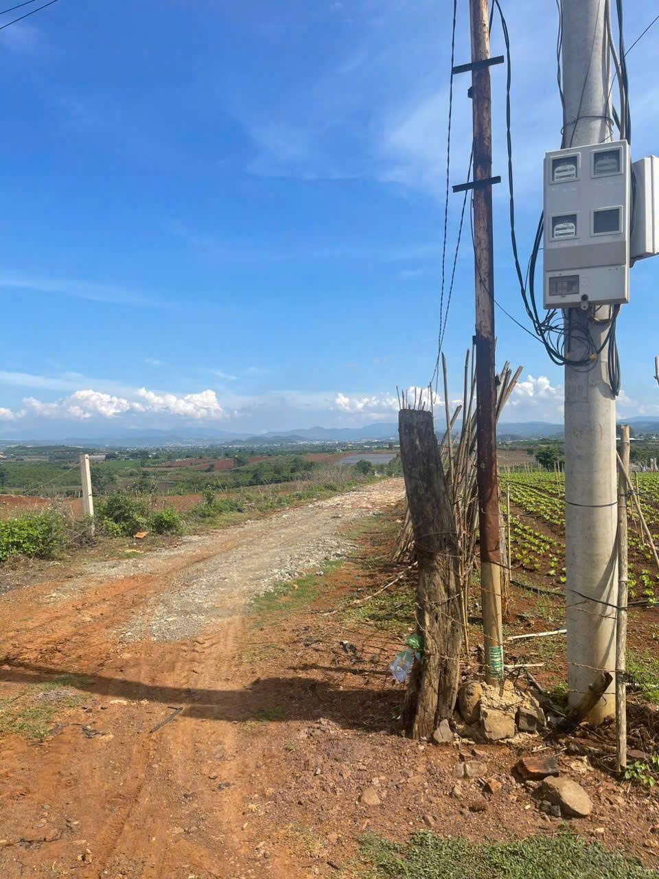 Bán 11140m2 đất N'Thôn Hạ Đức Trọng Lâm Đồng 11 tỷ 4