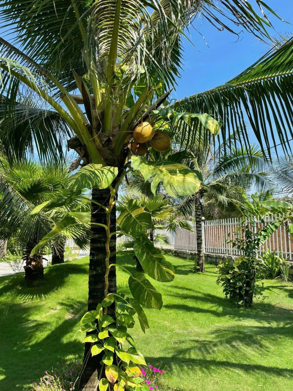 Cần bán Homestay - Khách Sạn Bà Rịa, Bà Rịa Vũng Tàu, Diện tích 1850m², Giá 23 Tỷ 5