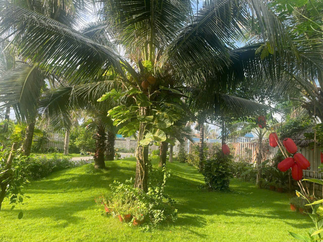 Cần bán Homestay - Khách Sạn Bà Rịa, Bà Rịa Vũng Tàu, Diện tích 1850m², Giá 23 Tỷ 16