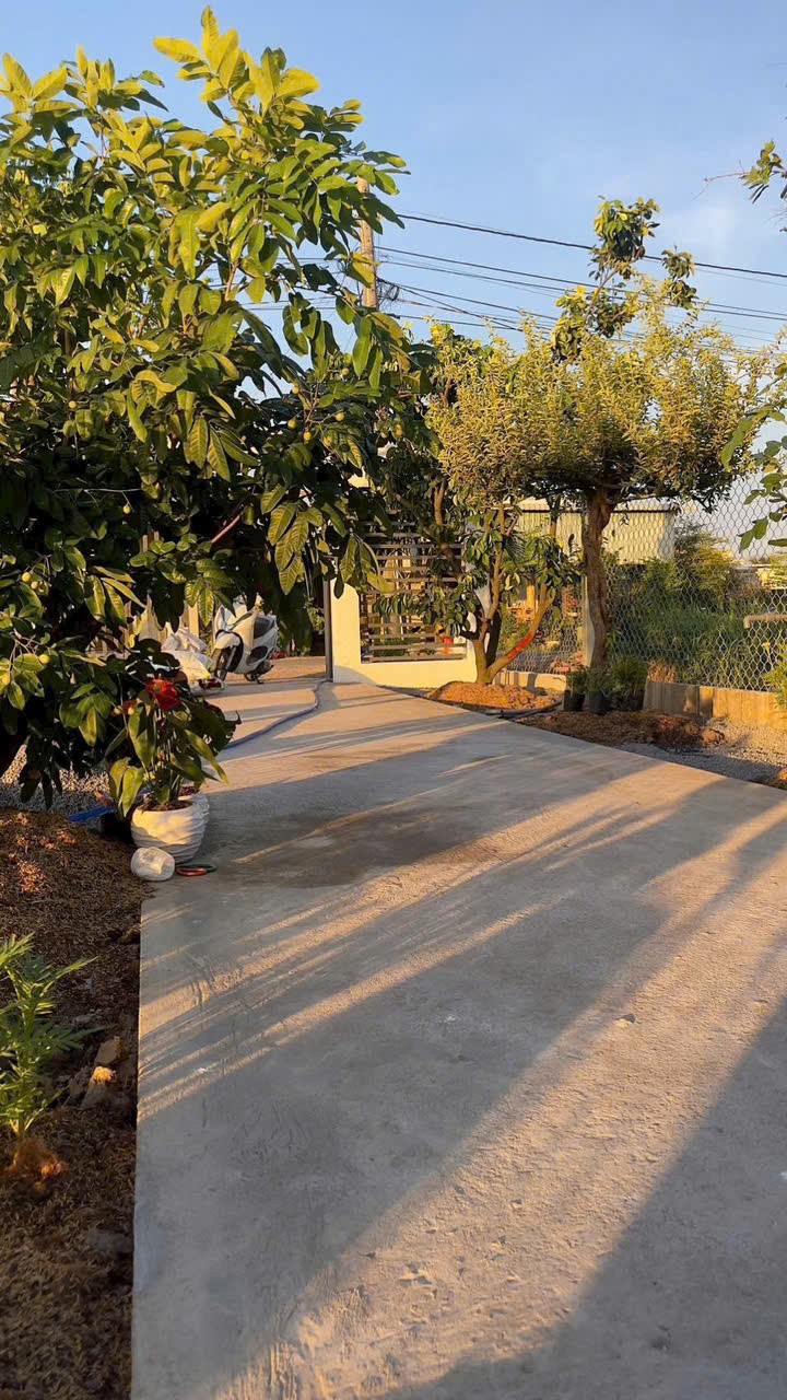 Bán nhà vườn mt Nguyễn Thị Lầu, xã Quê Mỹ Thạnh dt 150m2 full thổ giá 1,4 tỷ 10