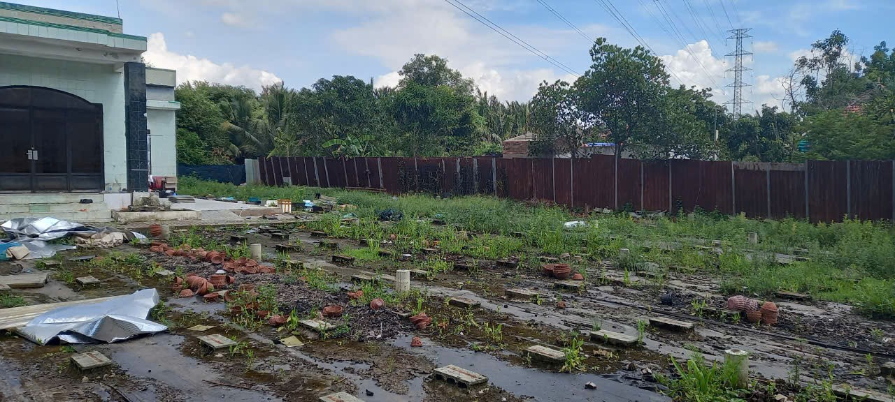 Cho thuê Đất Quận 9, Hồ Chí Minh, Diện tích 2000m², Giá 40 Triệu/tháng 4