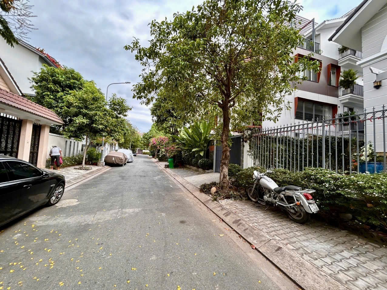 Cho thuê Biệt thự Phường Phú Mỹ, Quận 7, Diện tích 220m², Giá 60 Triệu/tháng
