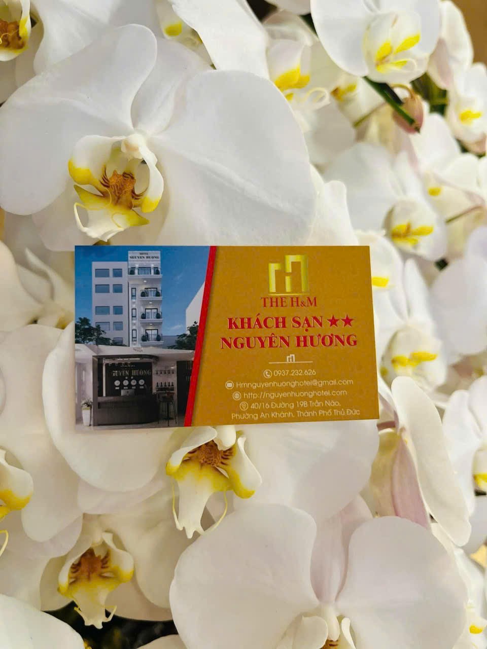 Cần bán Homestay - Khách Sạn Phường An Khánh, Quận 2, Diện tích 125m², Giá 45 Tỷ 4