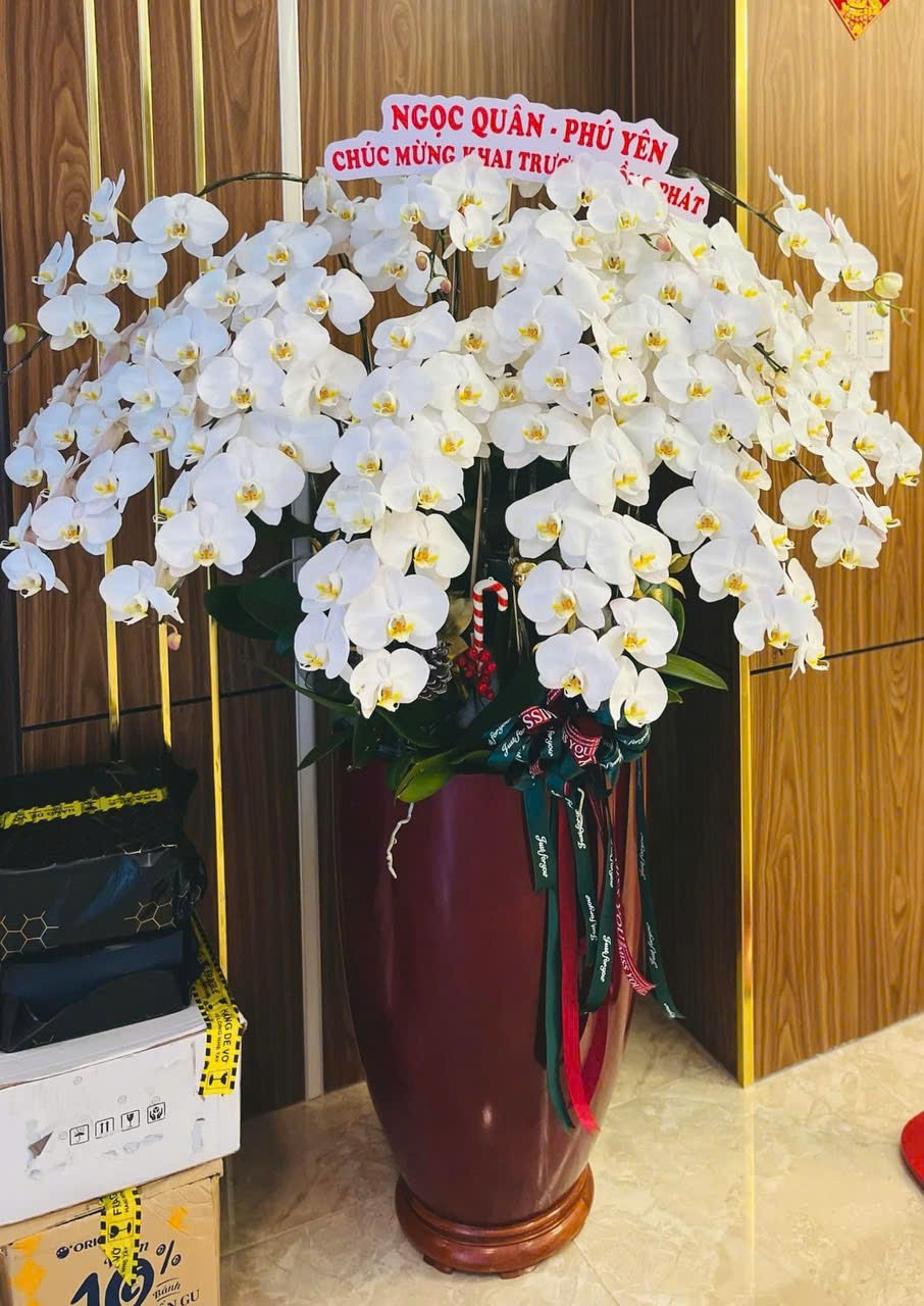 Cần bán Homestay - Khách Sạn Phường An Khánh, Quận 2, Diện tích 125m², Giá 45 Tỷ 10