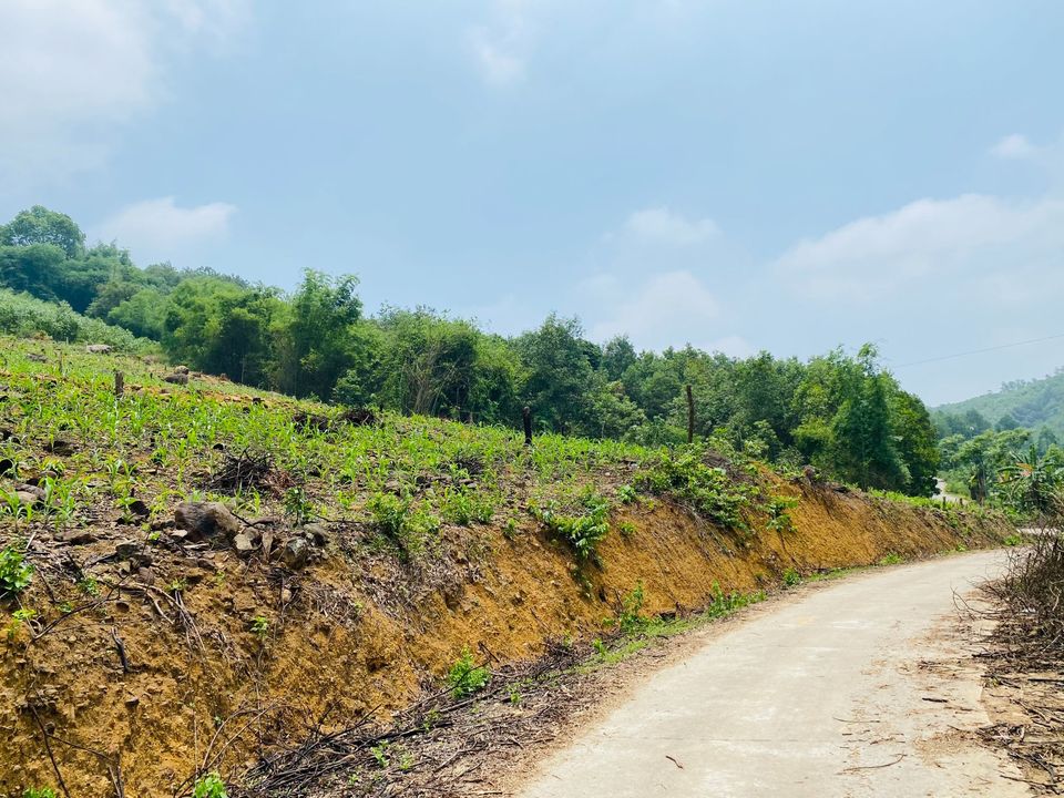 Cơ hội sở hữu lô đất đẹp tại xóm Ba Bị, xã Hùng Sơn, Kim Bôi, Hoà Bình