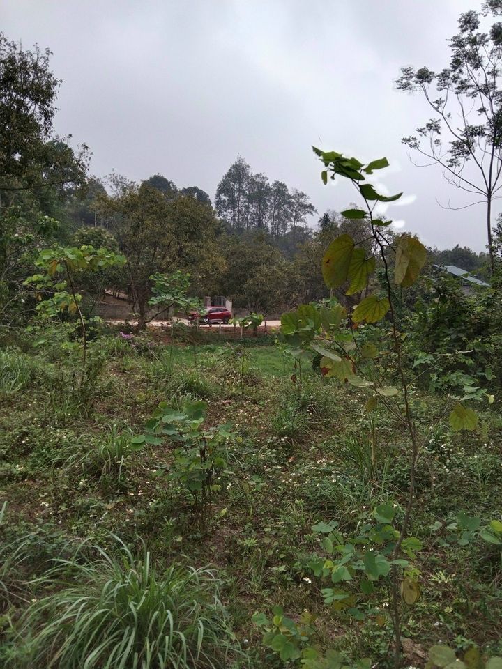 Cơ hội sở hữu lô đất đẹp tại xóm Ba Bị, xã Hùng Sơn, Kim Bôi, Hoà Bình 3