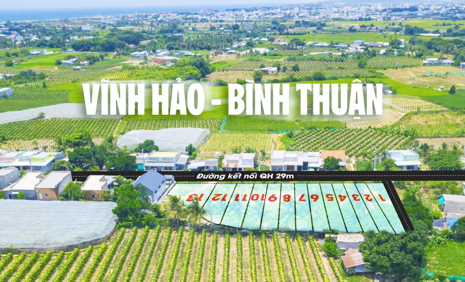Cần bán Đất biển Bình Thuận, Xã Phước Thể, Diện tích 119m², Giá 750 Triệu full thổ cư, đường mở rộng 29m 3