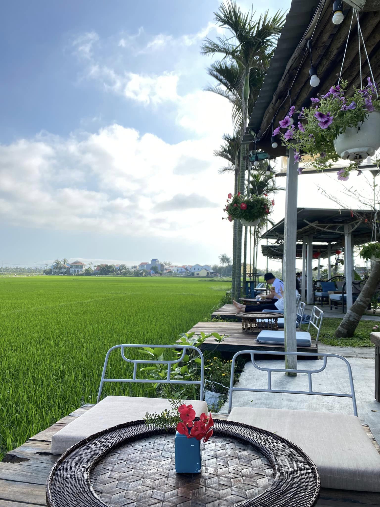 1100m2 view đồng lúa cực đẹp để làm nhà vườn tại Hòa Khương giá quá rẻ !