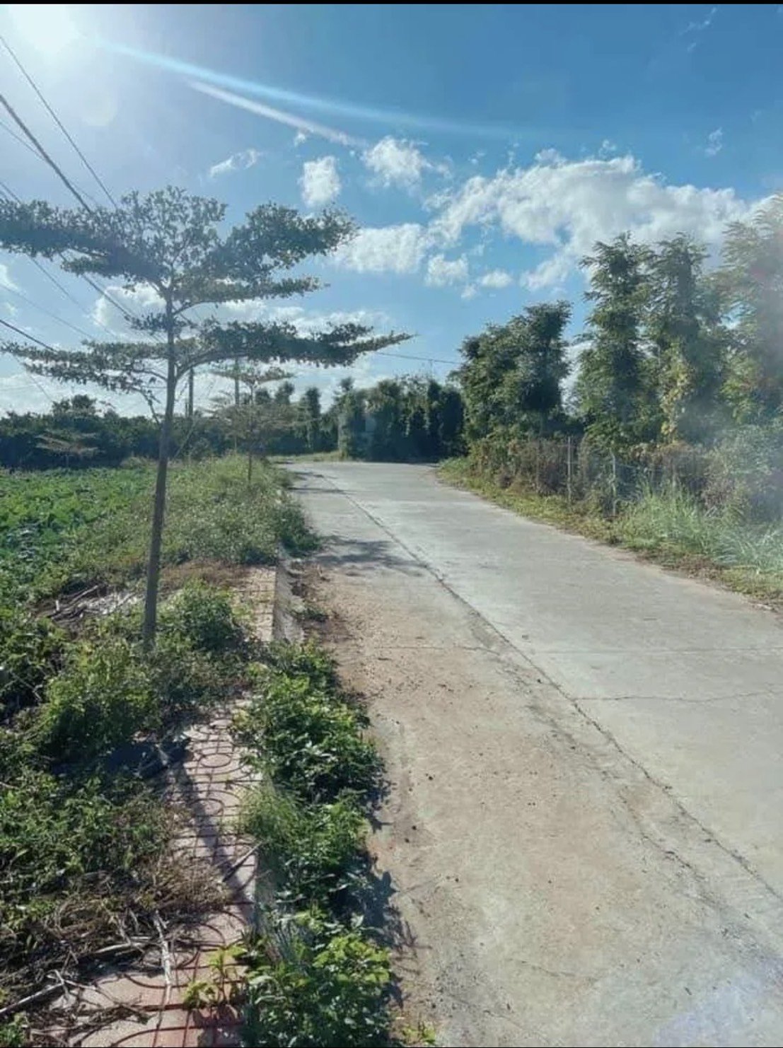 Cần bán Đất đường Quốc lộ 14, Xã Hòa Khánh, Diện tích 137m², Giá 199 Triệu 3