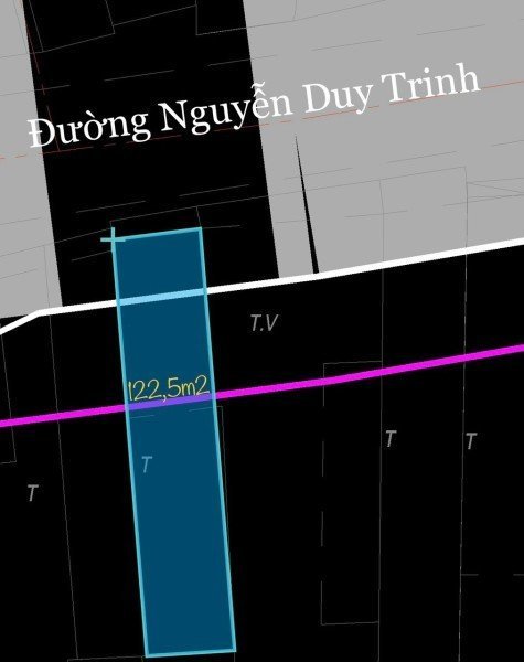 BDS HVL MTKD Ng Duy Trinh 5x24,5m chỉ 20 tỷ SHr 16/07/2023 3