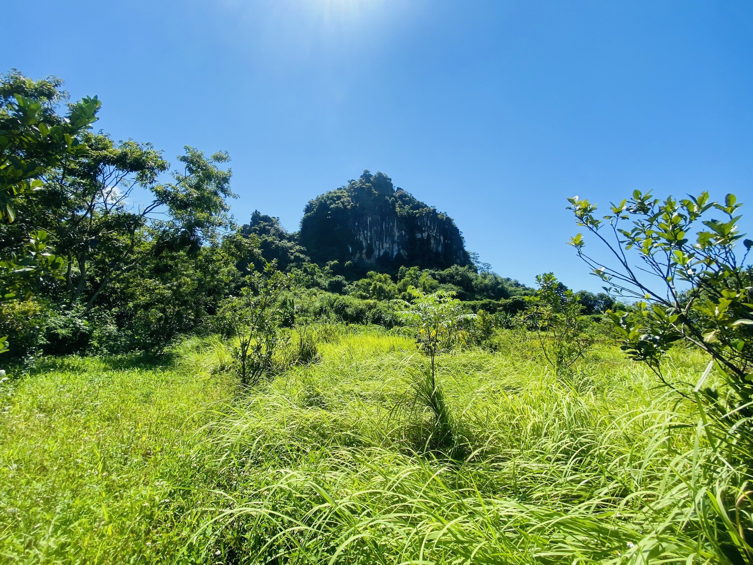 BÁN GẤP LÔ ĐẤT LƯNG TỰA NÚI CÓ DT 3633m2 VIEW NHÌN RA ĐƯỜNG HỒ CHÍ MINH 4