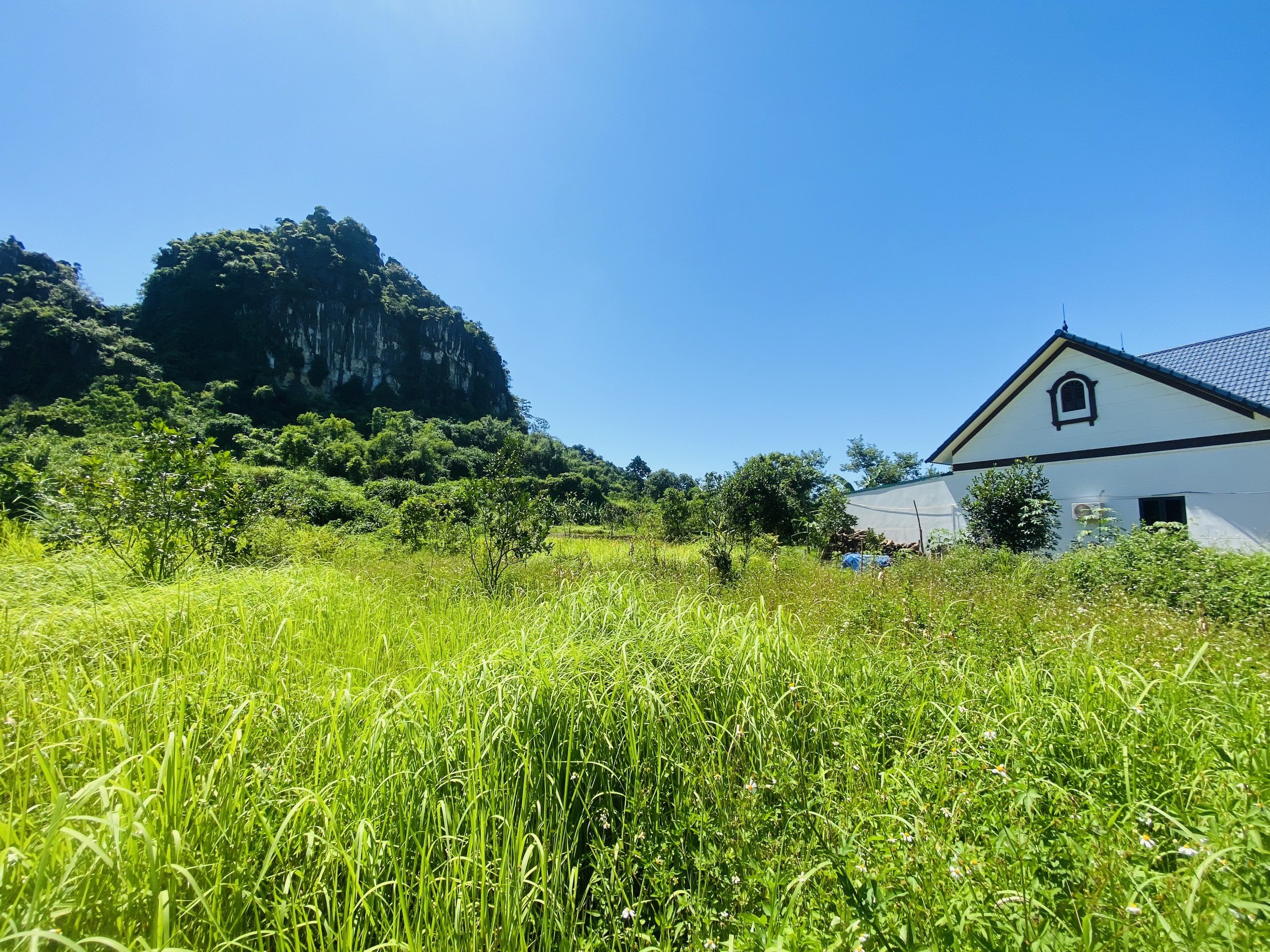 BÁN GẤP LÔ ĐẤT LƯNG TỰA NÚI CÓ DT 3633m2 VIEW NHÌN RA ĐƯỜNG HỒ CHÍ MINH 8