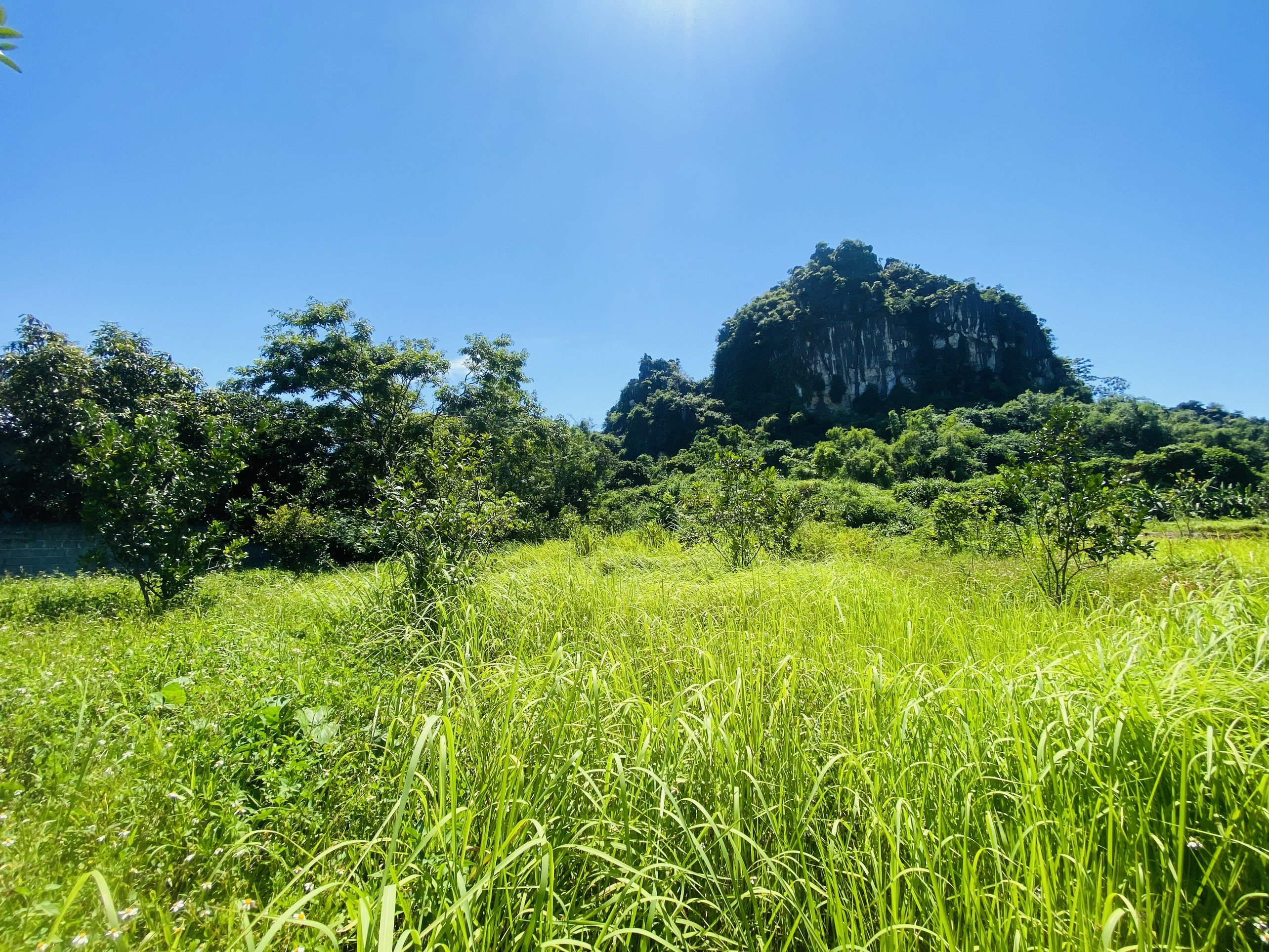 BÁN GẤP LÔ ĐẤT LƯNG TỰA NÚI CÓ DT 3633m2 VIEW NHÌN RA ĐƯỜNG HỒ CHÍ MINH 11