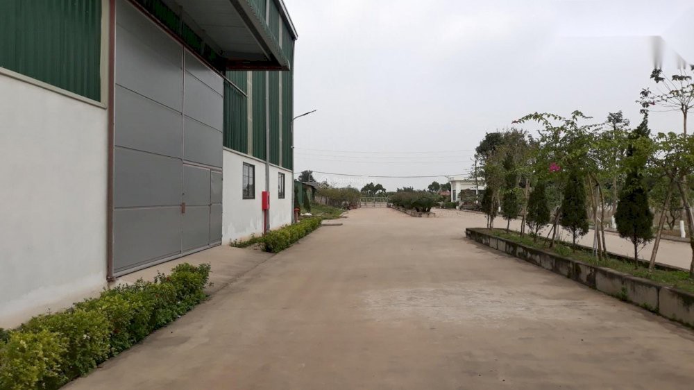 Cần bán Kho - Nhà xưởng đường 6, Xã Phú Nghĩa, Diện tích 4300m²