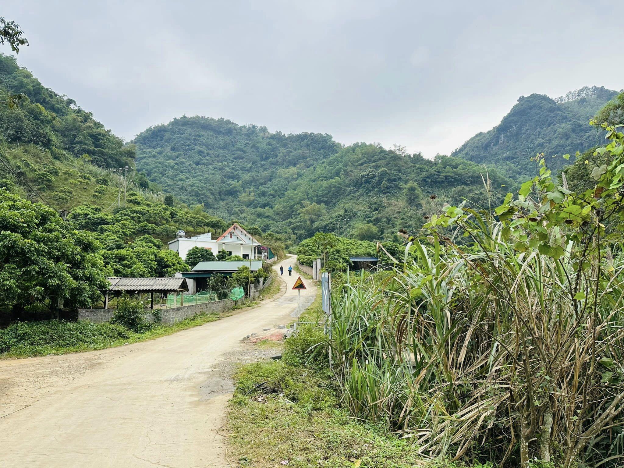 Cần bán Trang trại, rẫy, vườn Xã Cao Răm, Lương Sơn, Diện tích 2887m², Giá Thương lượng 4
