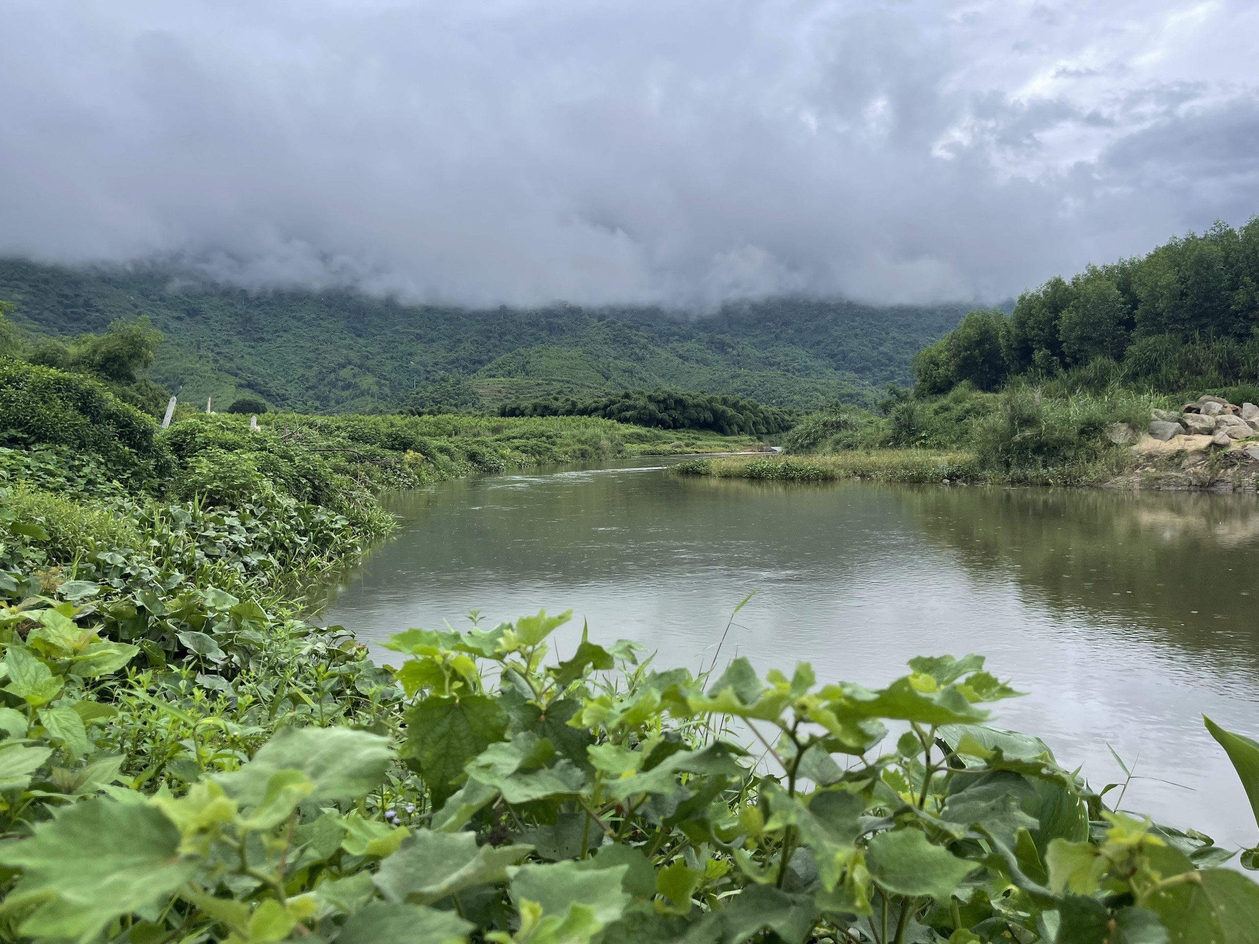 Bán đất vườn Khánh Phú giáp Sông Cầu - view sông núi hữu tình 4