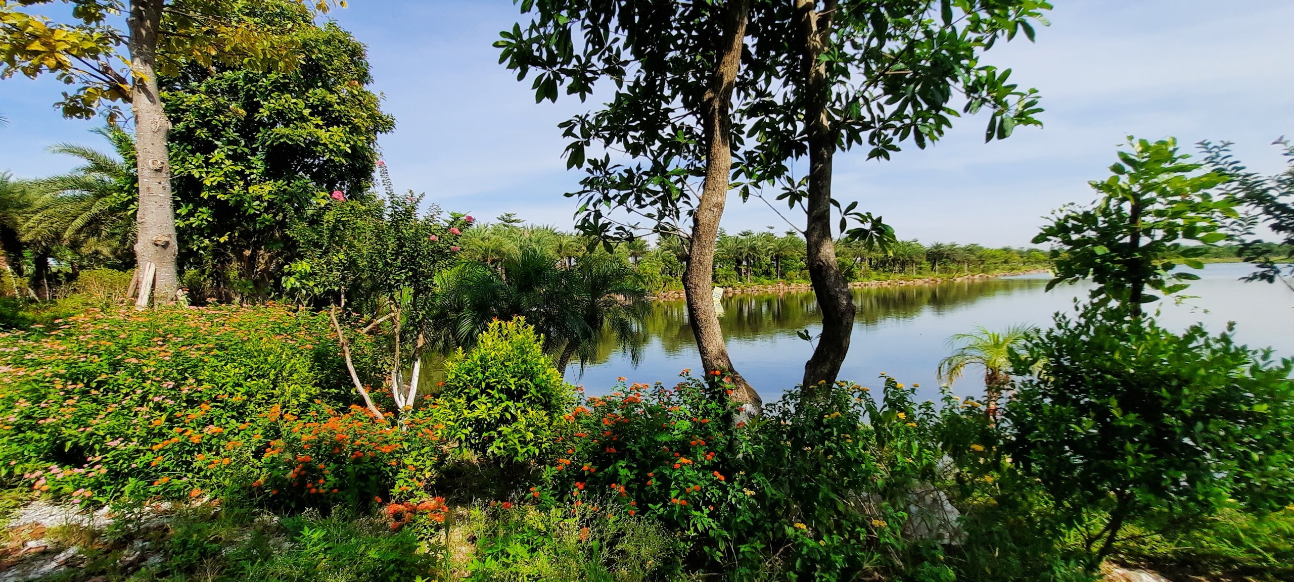 Cần bán đất Biệt thự Từ Sơn garden, View Hồ điều hòa 4