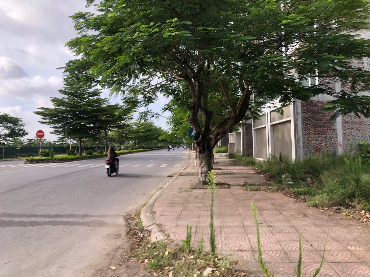 Cần bán Đất Phường Đồng Kỵ, Từ Sơn, Diện tích 141m², Giá 40 Triệu/m² 4