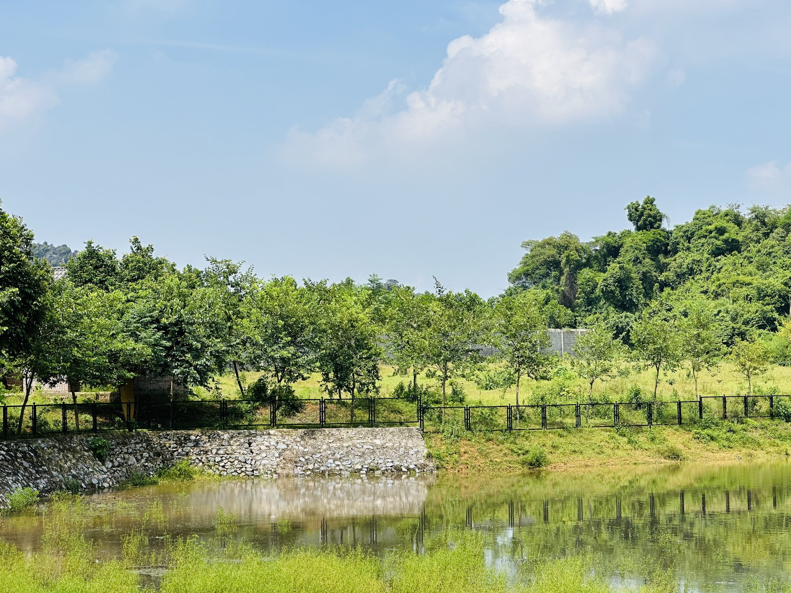 SIÊU PHẨM BÁM HỒ CỰC ĐẸP CÓ DT 9837m2 ĐÃ CÓ SẴN 2 CĂN HOMESTAY FULL NỘI THẤT CỰC ĐEP 8