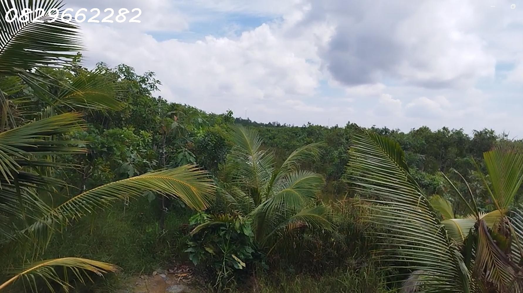 Bán Đất Vườn Cây Ăn Trái, Hòa Long, Đồng Tháp DT 44000m2, Giá 22 Tỷ, Sổ Hồng Chính Chủ.