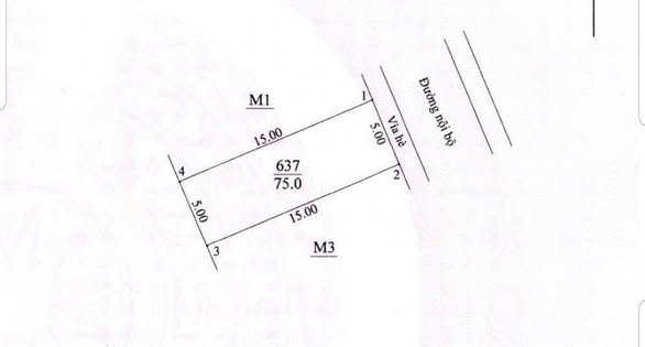 BÁN HANH 75M ĐẤT ĐẤU GIÁ _ ĐỒNG PHUNG _ HẠ MỖ _ Ô DIÊN _ HÀ NỘI
