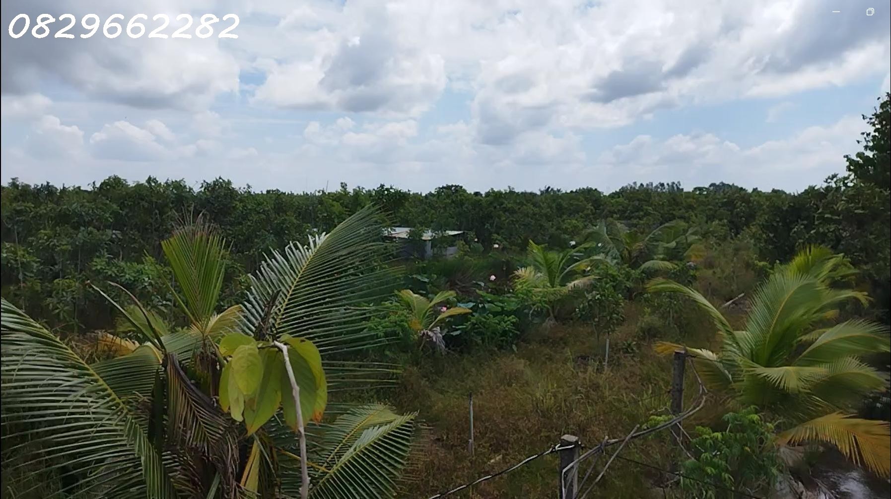 Bán Đất Vườn Cây Ăn Trái, Hòa Long, Đồng Tháp DT 44000m2, Giá 22 Tỷ, Sổ Hồng Chính Chủ. 2