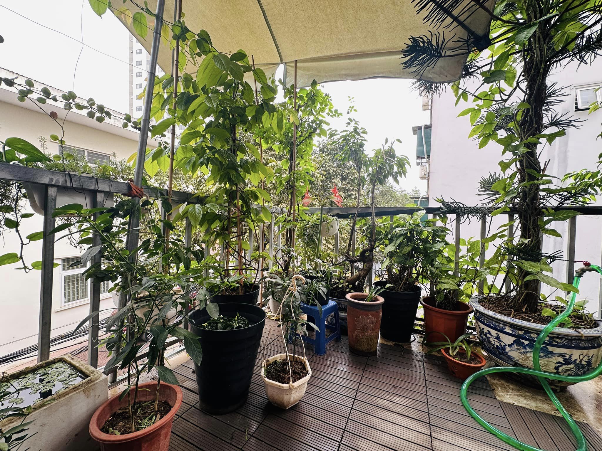 Nhà Văn Hội - Vị trí đắc địa – 35m² x 5T – Ngõ rộng – 7.6 tỷ 3