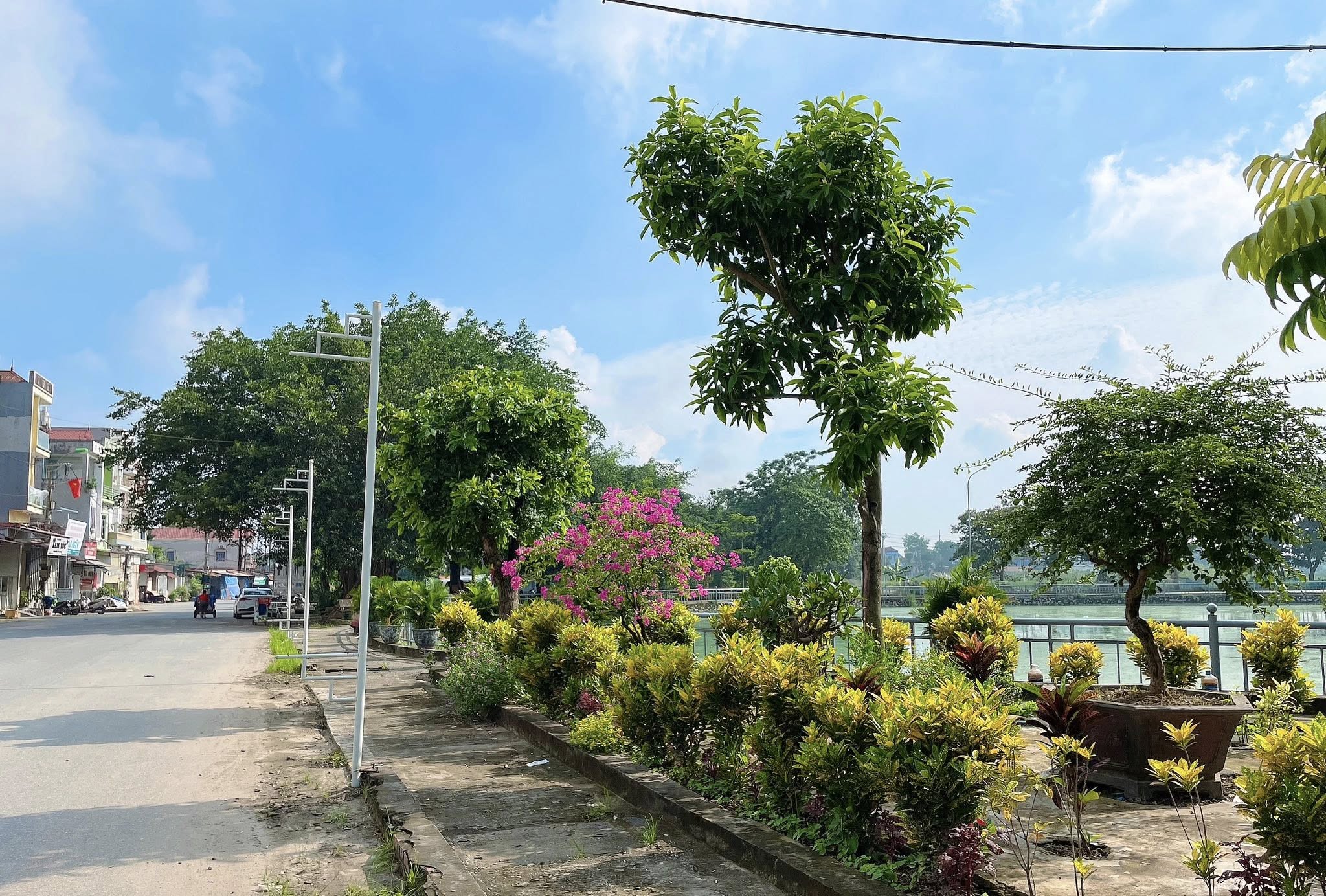 BÁN ĐẤT ĐẤU GIÁ PHÚC THỌ, GIÁ 4X, Ô GÓC MT 8M 3